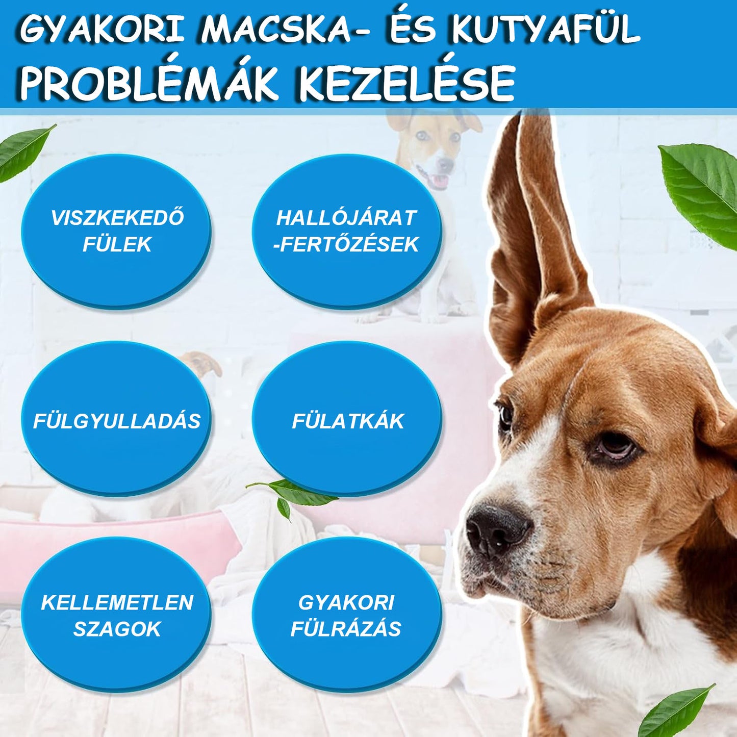 🐱🐱Mickey® WaxLift állati fülöblítő