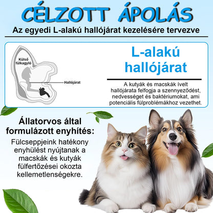 🐱🐱Mickey® WaxLift állati fülöblítő