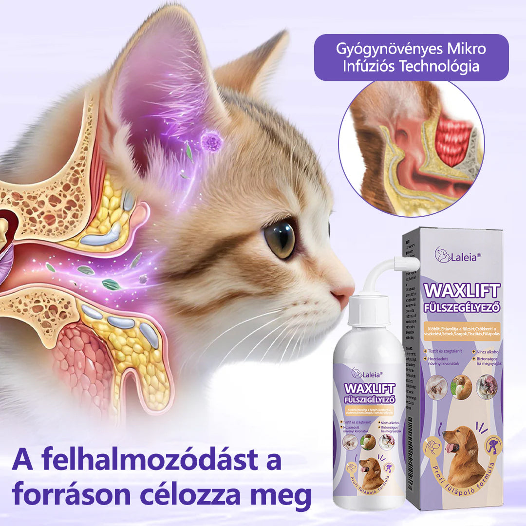 ⭐Mickey® WaxLift állati fülöblítő